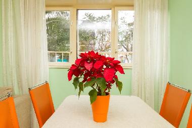 Holiday Apartment in Split (Splitsko-Dalmatinska) or holiday homes and vacation rentals