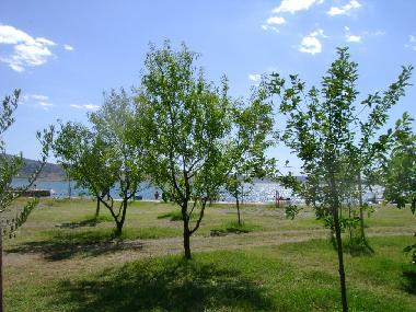 Holiday Apartment in Starigrad-Paklenica (Zadarska) or holiday homes and vacation rentals