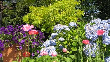 Holiday House in Bellingham (Washington) or holiday homes and vacation rentals