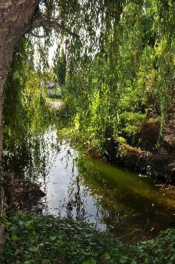 Holiday Apartment in Marans (Charente-Maritime) or holiday homes and vacation rentals