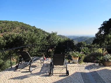 terrace / view