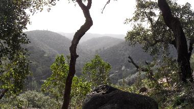 View from drive