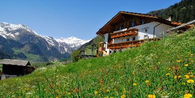 Holiday Apartment in 39040 (Bolzano-Bozen) or holiday homes and vacation rentals