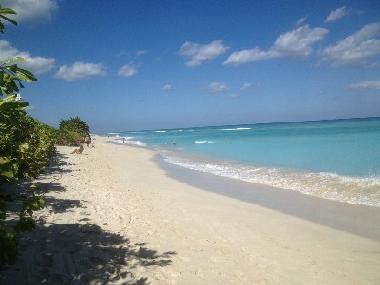 the beach just outside the hotel