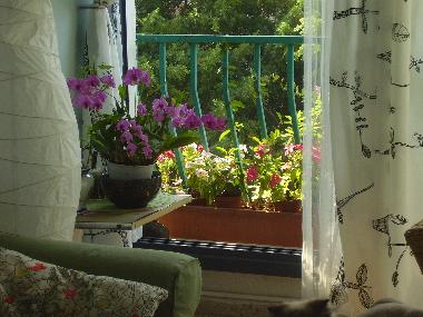 Holiday Apartment in Tel Aviv (Tel Aviv) or holiday homes and vacation rentals