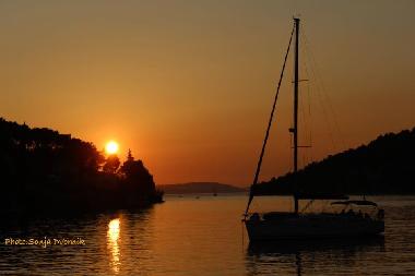 Bed and Breakfast in BOL (Splitsko-Dalmatinska) or holiday homes and vacation rentals