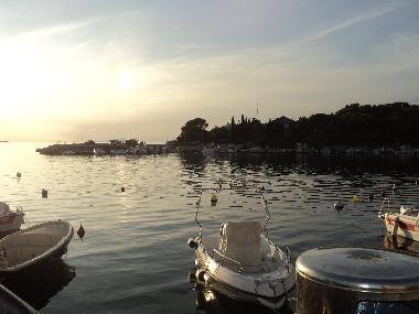 Holiday Apartment in Pag , Mandre (Zadarska) or holiday homes and vacation rentals