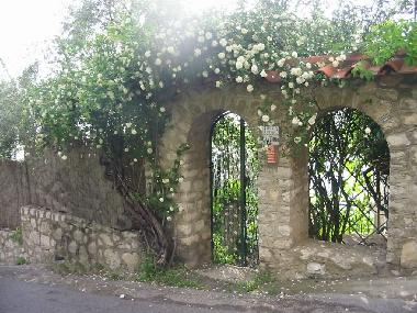 Holiday Apartment in Massa Lubrense (Napoli) or holiday homes and vacation rentals