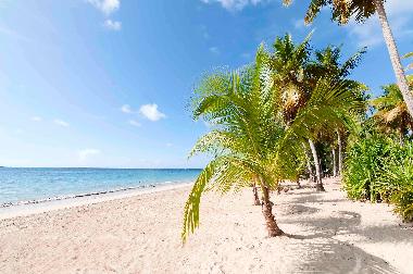 Holiday House in Las Terrenas (Samana) or holiday homes and vacation rentals