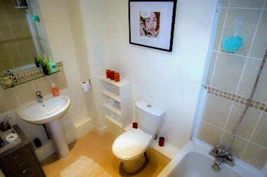 Bathroom - is recently renovated as is the entire flat.
