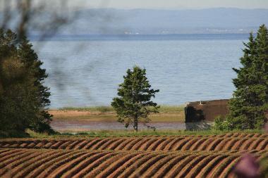 Holiday House in SOUTH PINETTE (Prince Edward Island) or holiday homes and vacation rentals