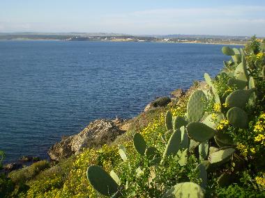 Holiday Apartment in Capo Rizzuto  (Crotone) or holiday homes and vacation rentals
