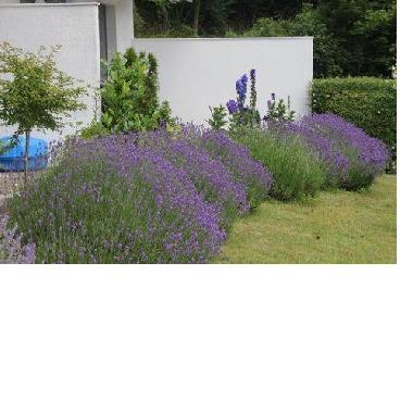 Holiday Apartment in Eutin-Sielbeck (Holsteinische Schweiz) or holiday homes and vacation rentals