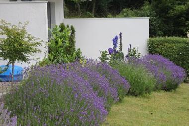 Holiday Apartment in Malente (Holsteinische Schweiz) or holiday homes and vacation rentals