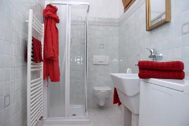 Other bathroom with shower, toilet, washbasin and washing machine