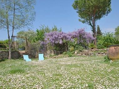 Villa in san casciano val di pesa (Firenze) or holiday homes and vacation rentals