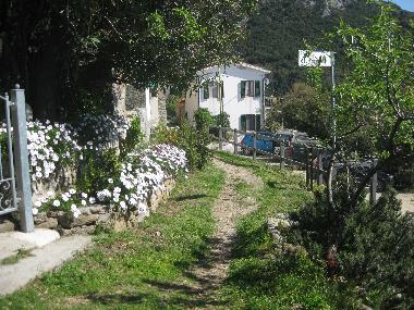 Holiday Apartment in Pomonte (Livorno) or holiday homes and vacation rentals