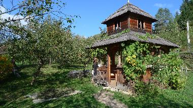 Holiday House in Viseu de Sus (Maramures) or holiday homes and vacation rentals