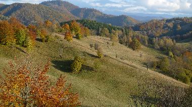 Holiday House in Viseu de Sus (Maramures) or holiday homes and vacation rentals
