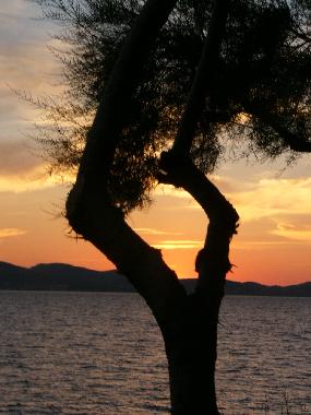 Holiday Apartment in Zadar (Zadarska) or holiday homes and vacation rentals