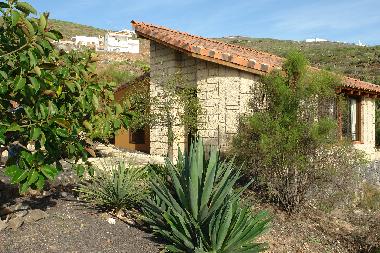 Holiday House in Adeje (Teneriffa) or holiday homes and vacation rentals