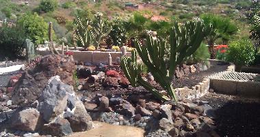 Holiday House in Adeje (Teneriffa) or holiday homes and vacation rentals