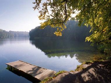 Holiday Apartment in Lagow (Lubuskie) or holiday homes and vacation rentals