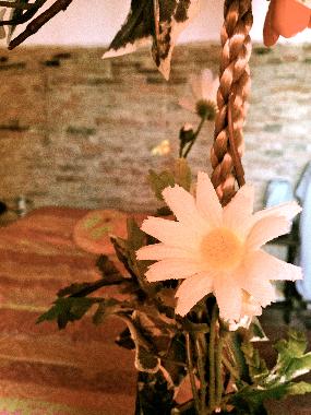 Holiday Apartment in Legoli (Pisa) or holiday homes and vacation rentals