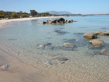 crystalline water