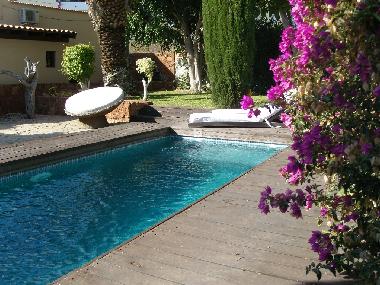 Holiday House in Arona (Teneriffa) or holiday homes and vacation rentals