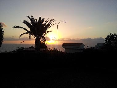 Holiday House in Playa Paraiso (Teneriffa) or holiday homes and vacation rentals