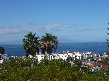 Holiday House in Playa de las Americas (Teneriffa) or holiday homes and vacation rentals