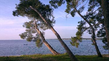 Holiday Apartment in Pula (Istarska) or holiday homes and vacation rentals