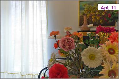 Holiday Apartment in Palermo (Palermo) or holiday homes and vacation rentals