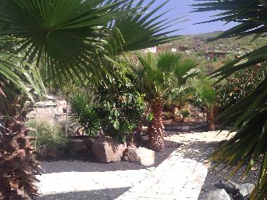 Holiday Apartment in Los Menores (Teneriffa) or holiday homes and vacation rentals