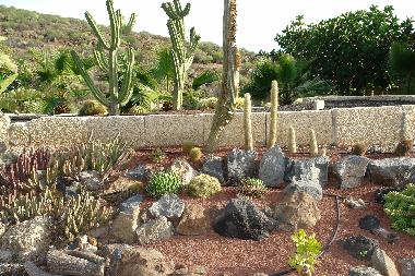 Holiday Apartment in Los Menores (Teneriffa) or holiday homes and vacation rentals