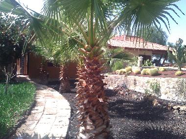 Holiday House in Los Menores (Teneriffa) or holiday homes and vacation rentals