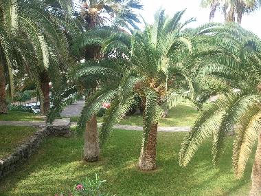 Holiday Apartment in Callao Salvaje (Teneriffa) or holiday homes and vacation rentals