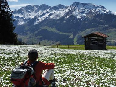 Holiday Apartment in Wildschnau (Tiroler Unterland) or holiday homes and vacation rentals