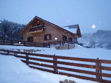 Chalet in Minzalesti (Buzau) or holiday homes and vacation rentals
