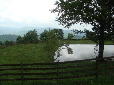 Chalet in Minzalesti (Buzau) or holiday homes and vacation rentals