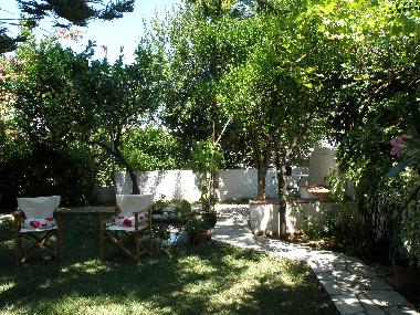 Holiday Apartment in Skopelos (Magnisia) or holiday homes and vacation rentals