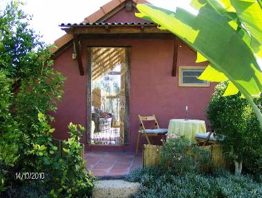 Holiday Apartment in Guia de Isora (Teneriffa) or holiday homes and vacation rentals