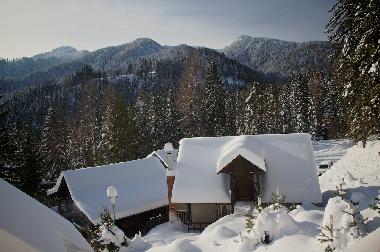 Holiday Apartment in SOLCAVA  (Luce) or holiday homes and vacation rentals