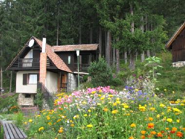 Holiday Apartment in SOLCAVA  (Luce) or holiday homes and vacation rentals