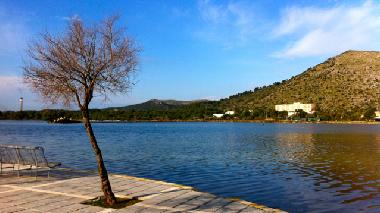 Chalet in Puerto de Alcdia (Mallorca) or holiday homes and vacation rentals