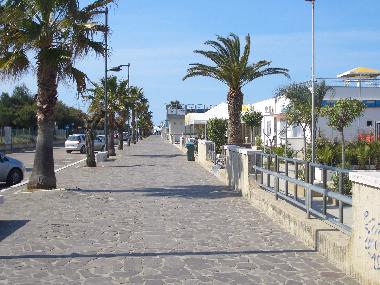 Holiday Apartment in Campomarino lido (Campobasso) or holiday homes and vacation rentals