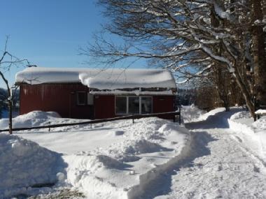 Chalet in Lajoux (La Chaux-de-Fonds) or holiday homes and vacation rentals