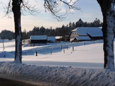 Chalet in Lajoux (La Chaux-de-Fonds) or holiday homes and vacation rentals