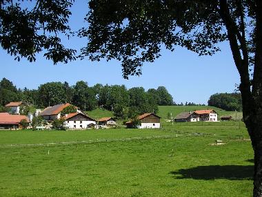 Chalet in Lajoux (La Chaux-de-Fonds) or holiday homes and vacation rentals